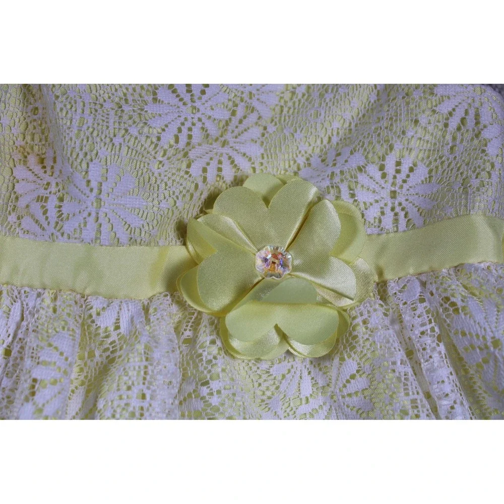Jona Michelle Dress Girls 3T Floral Lace Overlay Spring Easter Flower‎ Occasion